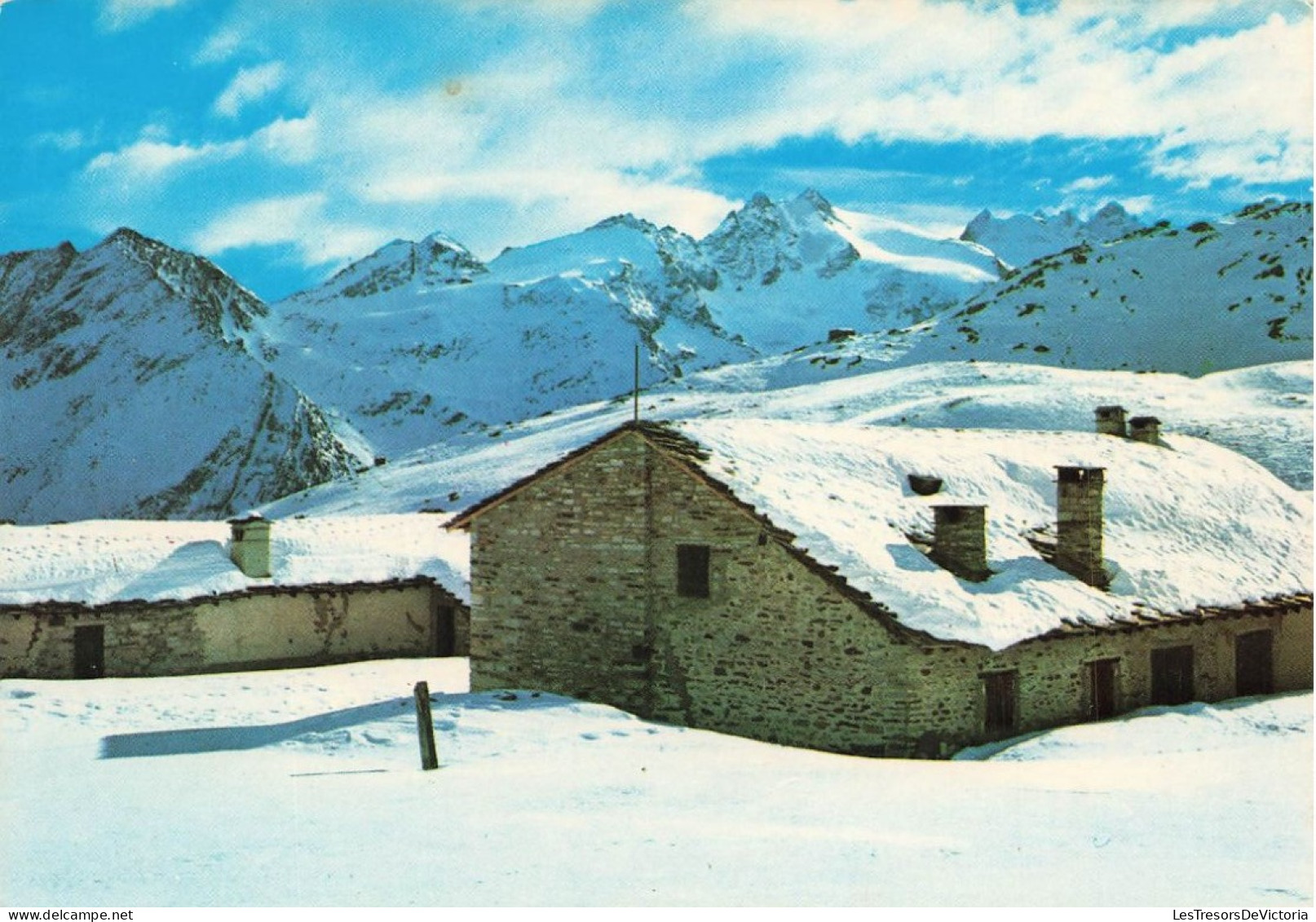 ITALIE - Vallée De Cogne - Refuge V. Sella - Carte Postale - Autres & Non Classés