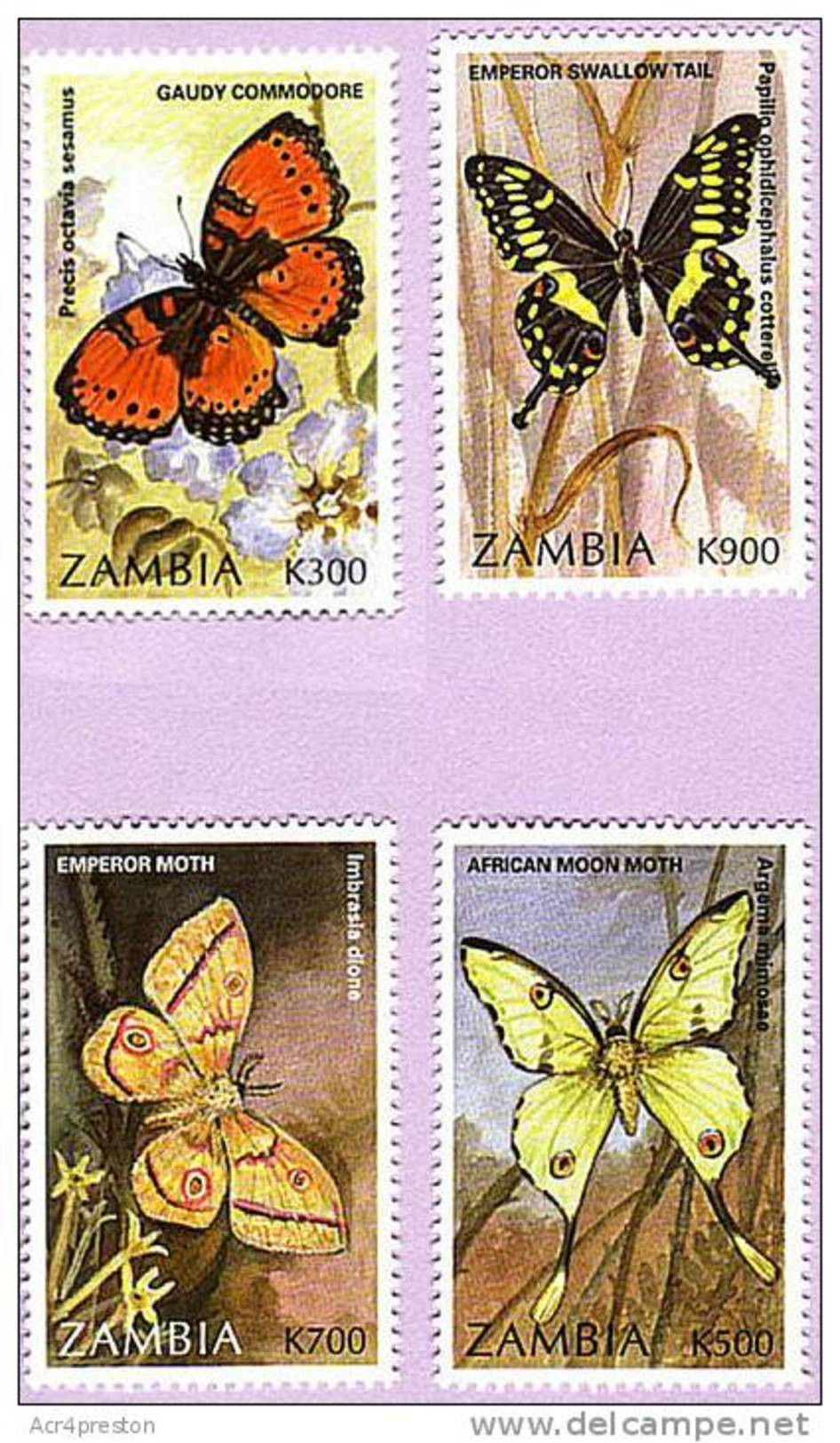 Zm0761 Zambia 1997, SG 761-764, Butterflies And Moths Of Zambia  MNH - Zambie (1965-...)