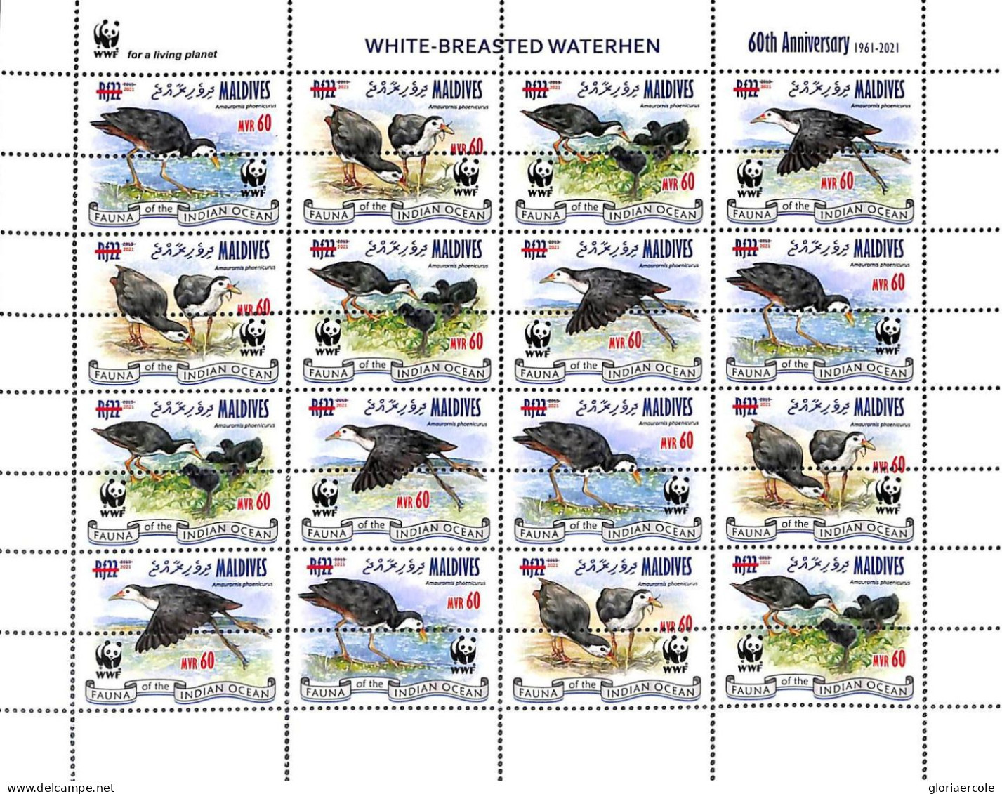 A9031 - MALDIVES - ERROR MISPERF Stamp Sheet - 2021 - White-Breasted Waterhen WWF - Otros & Sin Clasificación