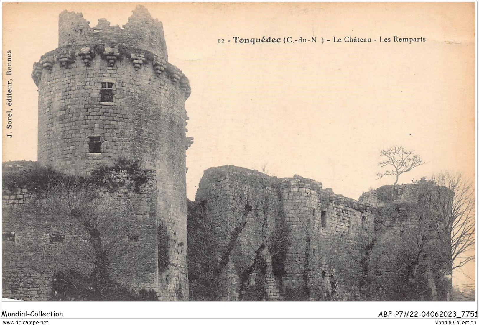 ABFP7-22-0582 - TONQUEDEC - Le Chateau - Les Remparts  - Tonquédec