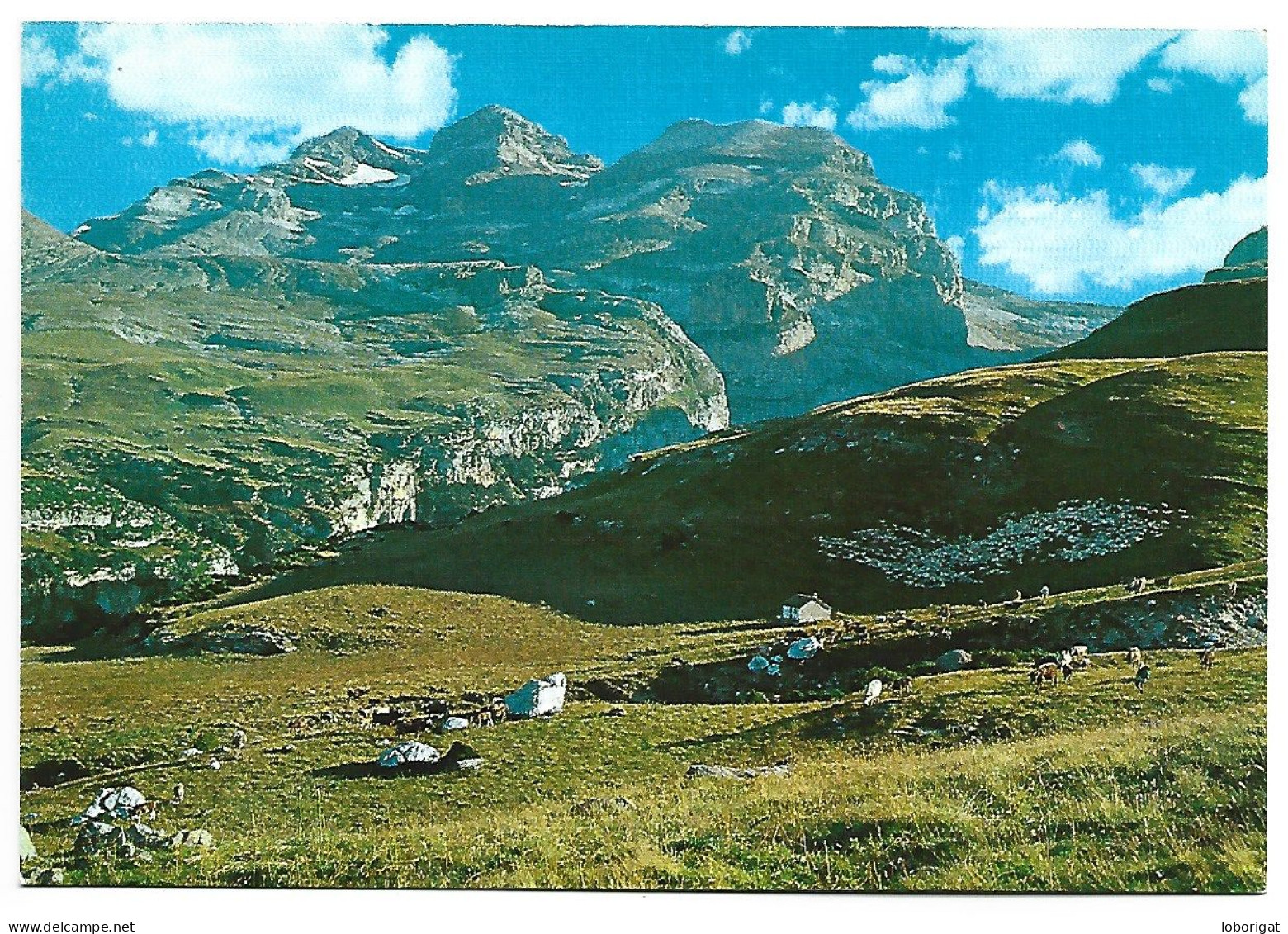 PARQUE NACIONAL DE AÑISCLO.- PIRINEO ARAGONES.- ORDESA / HUESCA.- ( ESPAÑA ) - Huesca