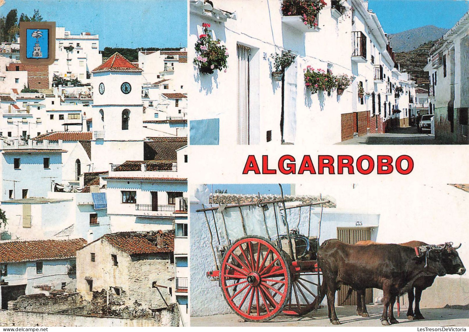 ESPAGNE - Algarrobo - Divers Aspects - Colorisé - Carte Postale - Malaga