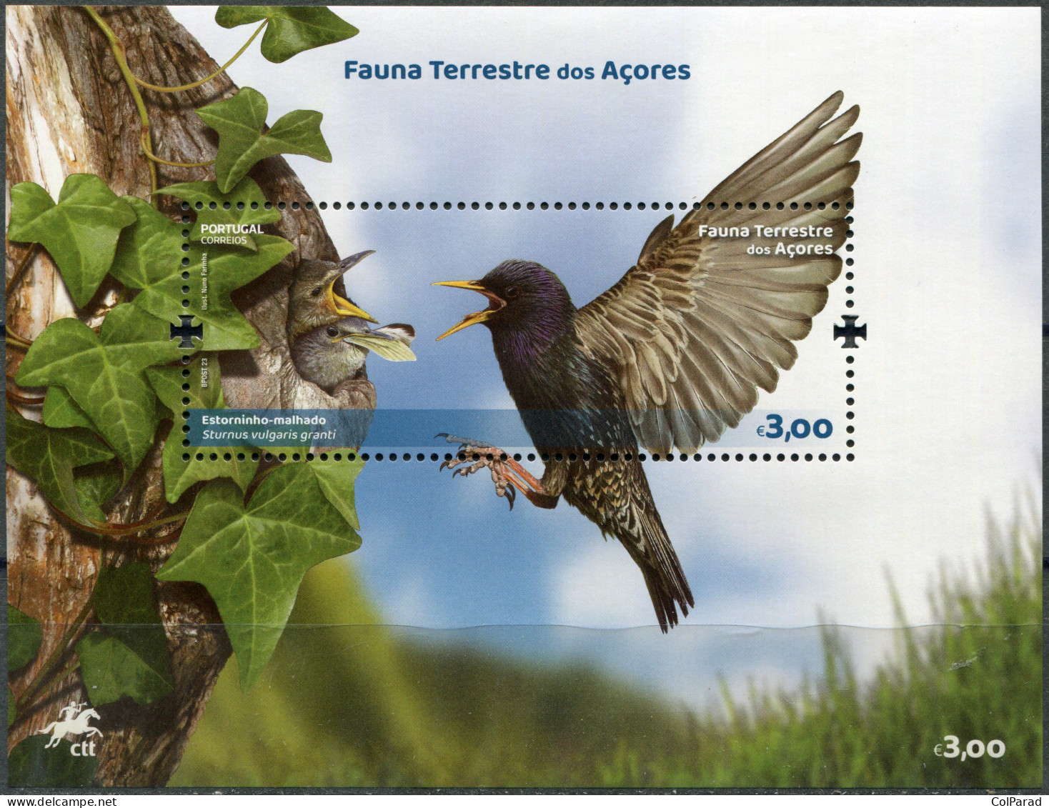 AZORES - 2023 - S/S MNH ** - Azores Starling (Sturnus Vulgaris Granti) - Açores