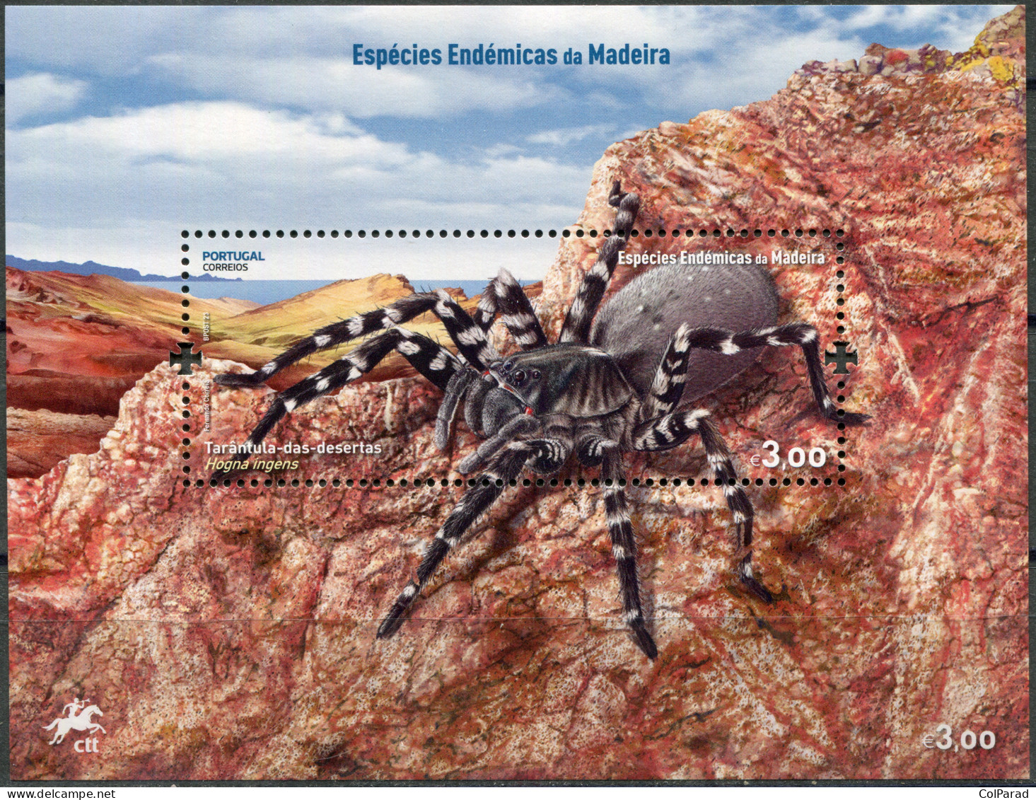 MADEIRA - 2023 - S/S MNH ** - Deserta Grande Wolf Spider (Hogna Ingens) - Madère