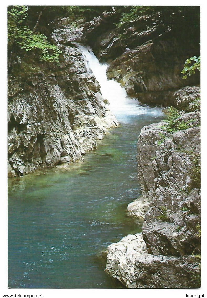 CAÑON DE AÑISCLO, CASCADA EN EL RIO BELLOS.- HUESCA / ARAGON.- ( ESPAÑA). - Huesca