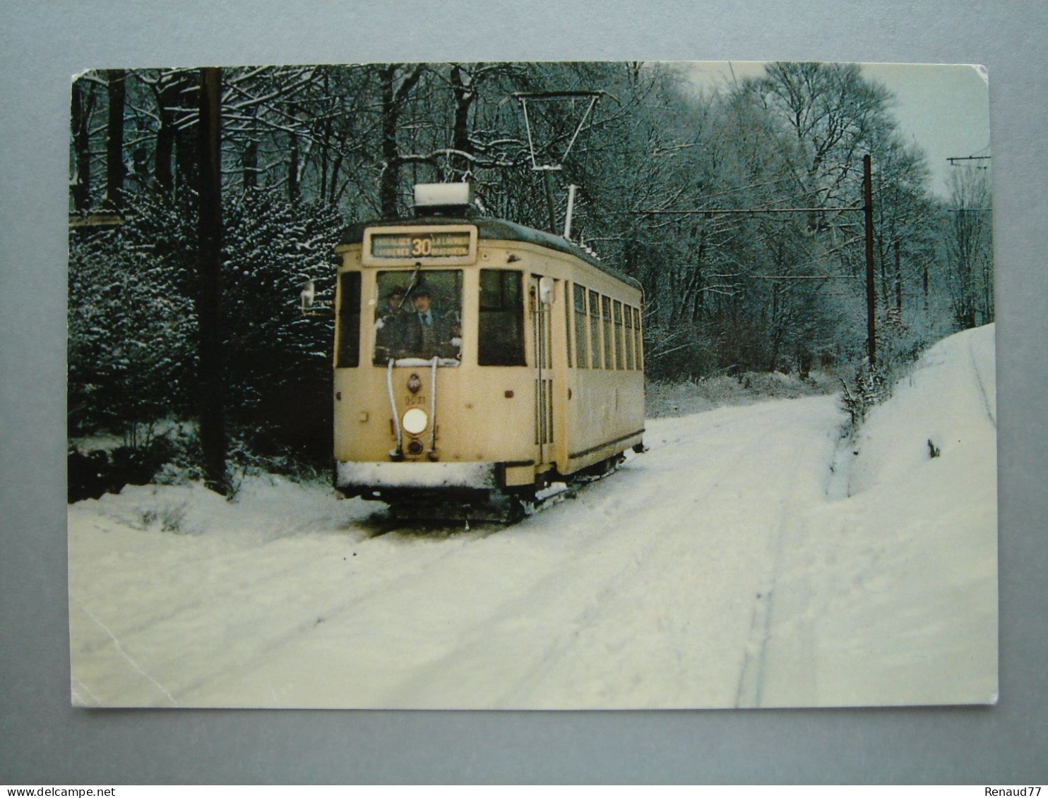 Mariemont - Dans Les Bois De L'Olive - Tram - Tramway - Ligne 30 - Morlanwelz