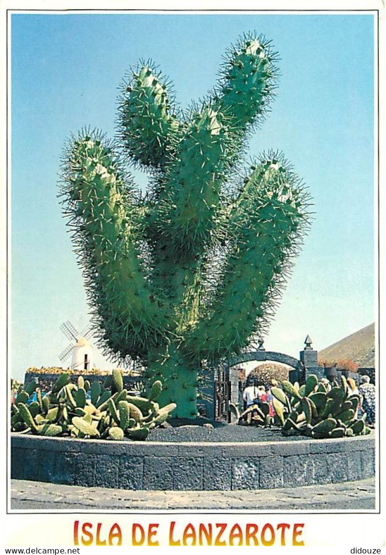 Fleurs - Plantes - Cactus - Espagne - Iles Canaries - Lanzarote - Jardin De Cactus - CPM - Voir Scans Recto-Verso - Cactusses
