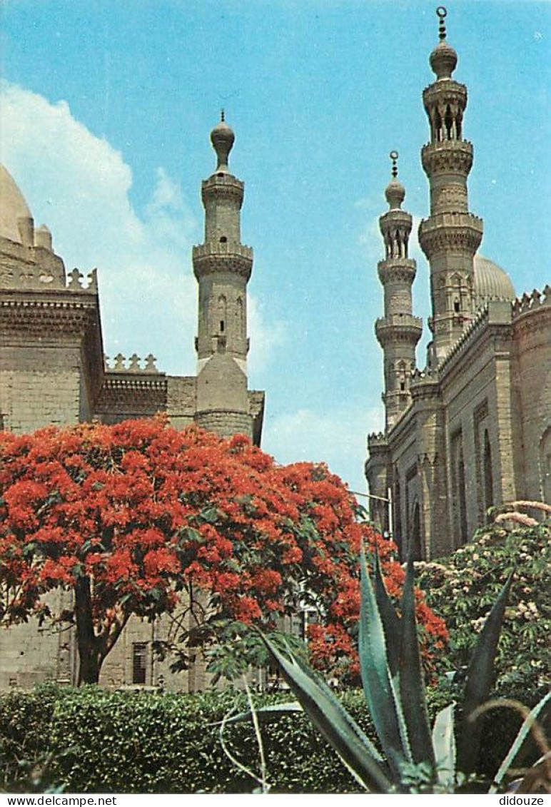 Egypte - The Citadel - Sulan Hassan And El Rifai Mosques - Carte Neuve - CPM - Voir Scans Recto-Verso - Sonstige & Ohne Zuordnung