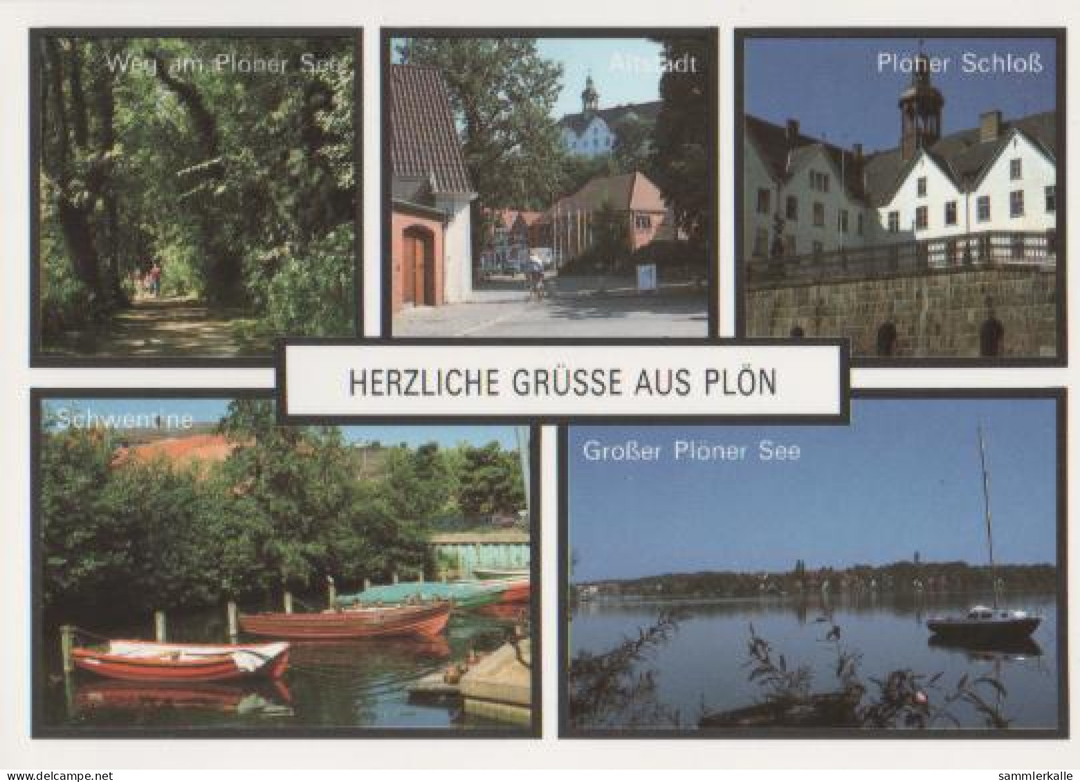 12798 - Herzliche Grüsse Aus Plön - Ca. 1995 - Plön