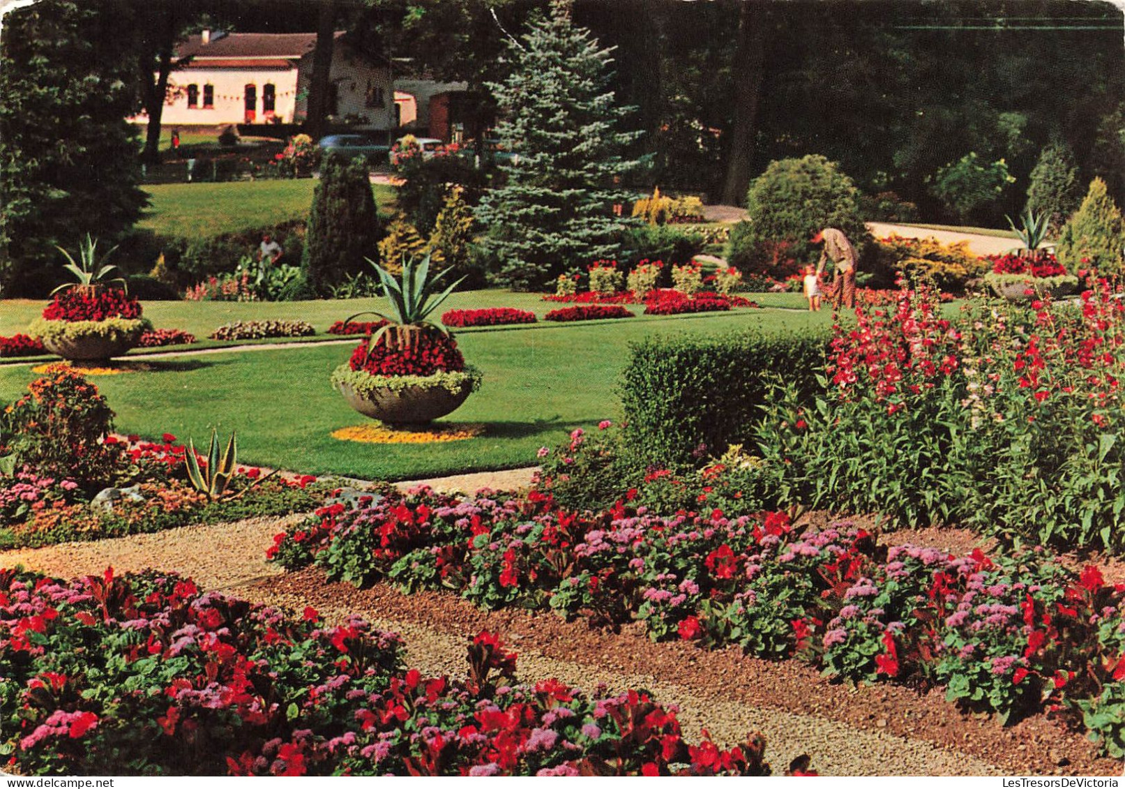 BELGIQUE - Spa - Le Jardin Des Begonias - Carte Postale - Spa