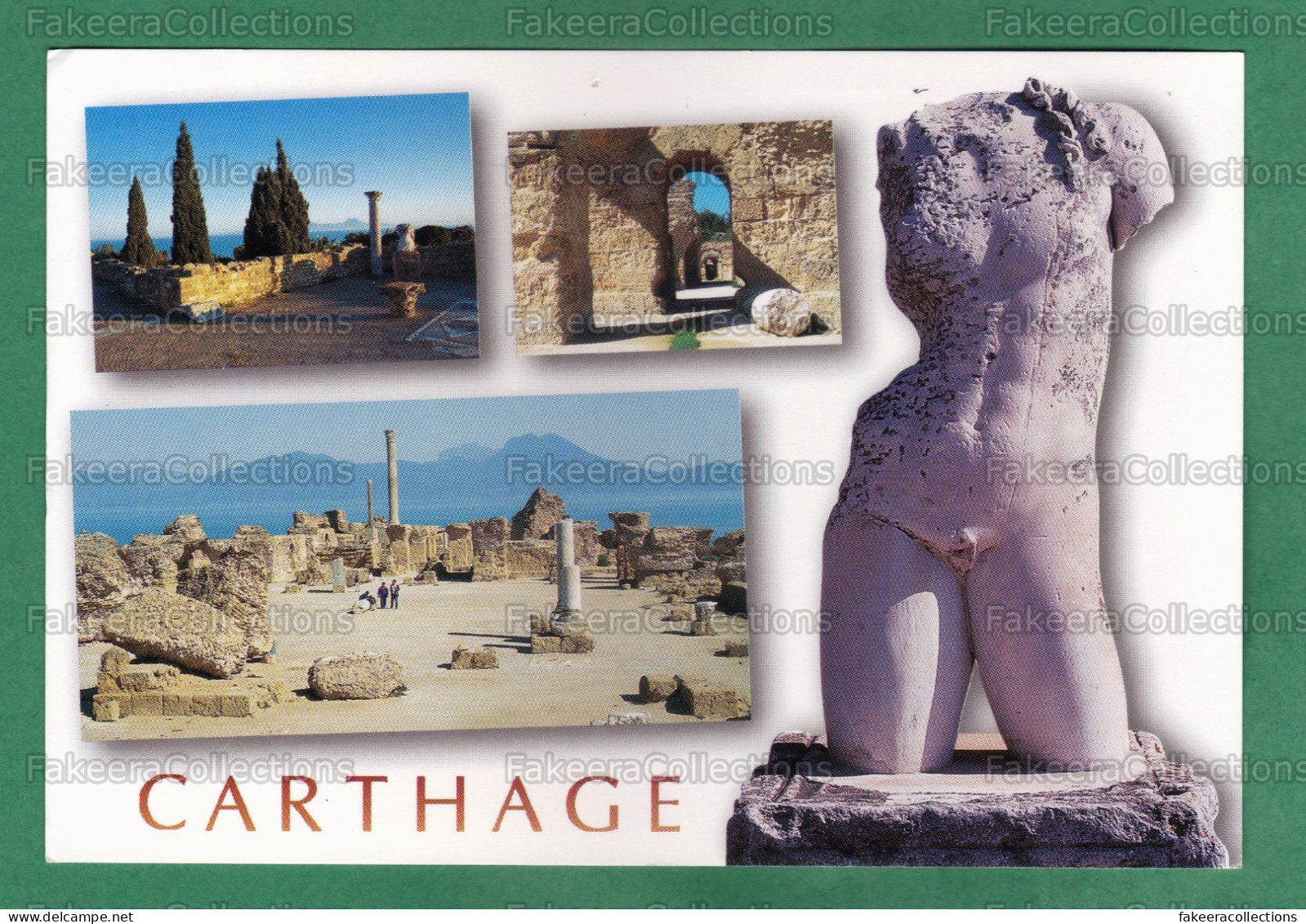 CARTHAGE Picture Post Card Sent From TUNISIA To BELGIUM With ARABIAN HORSE Stamp, Horses - As Scan - Horses
