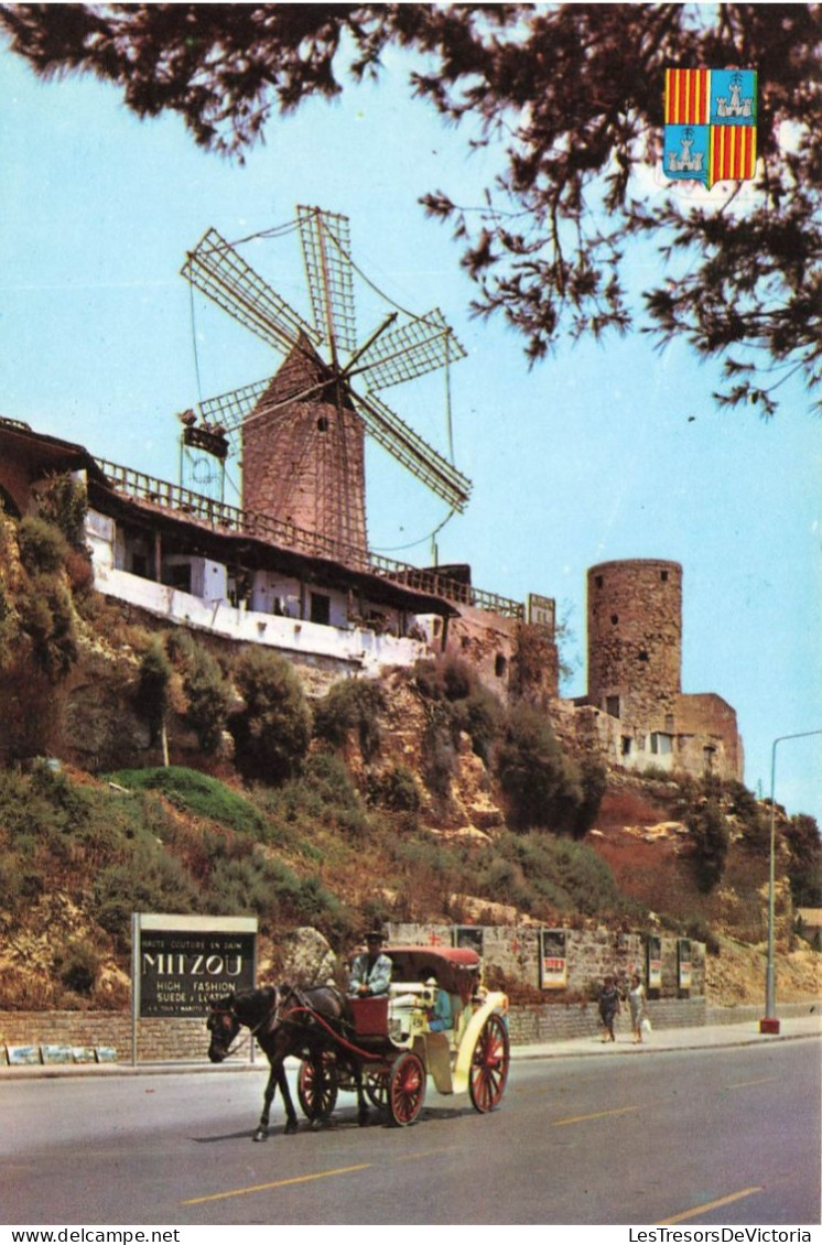 ESPAGNE - Palma De Mallorca - Paseo Maritimo - Viejos Molinos - Carte Postale - Palma De Mallorca