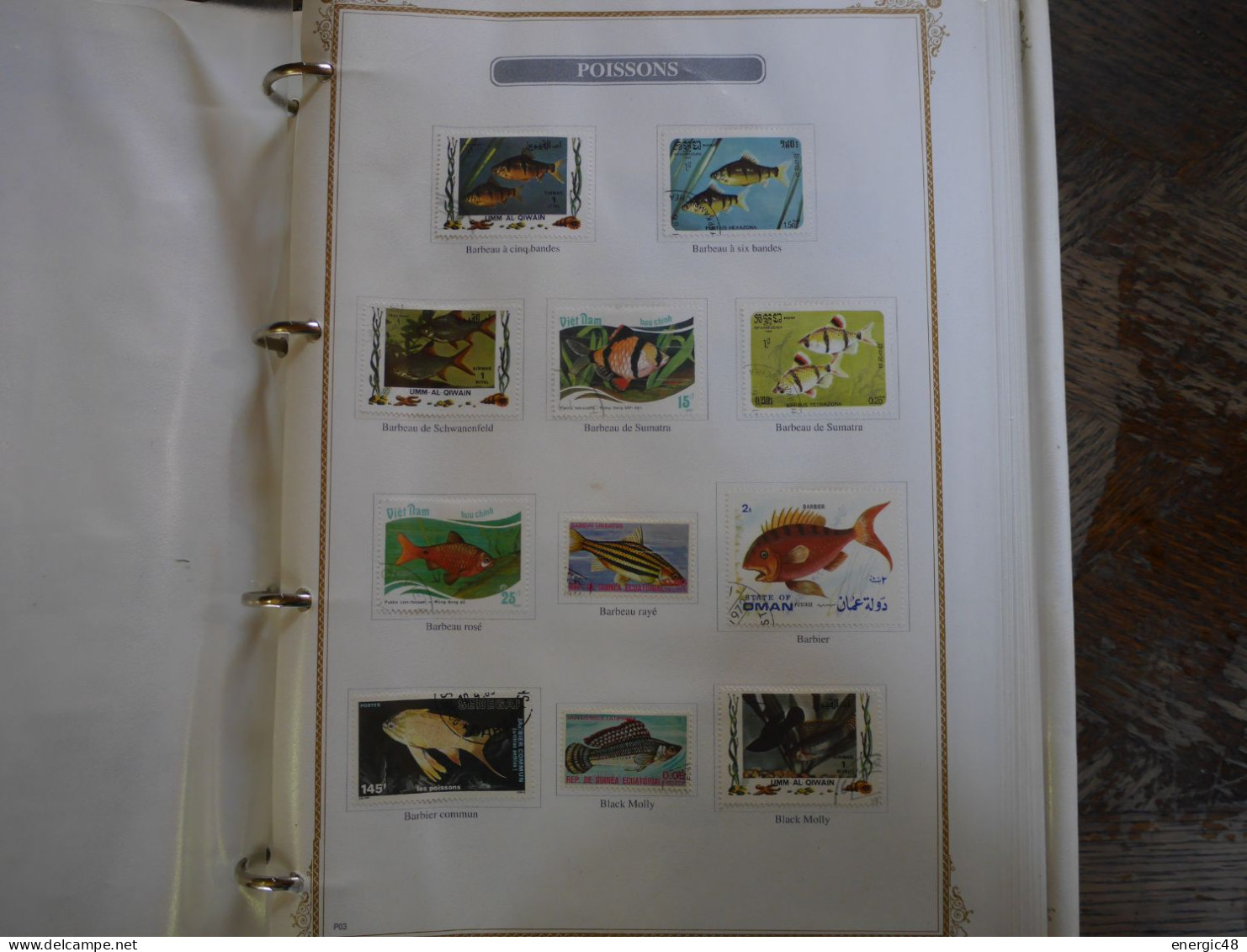 Super Album , Thématiques :29pages Poissons,14pages Coquillages,13pages Roses  TBE ,a Voir!! , Prix Dérisoire - Collections (with Albums)