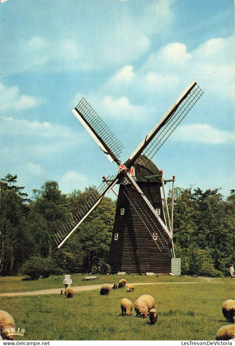 BELGIQUE - Bokrijk - Provinciedomein - Openluchtmuseum - Carte Postale - Altri & Non Classificati