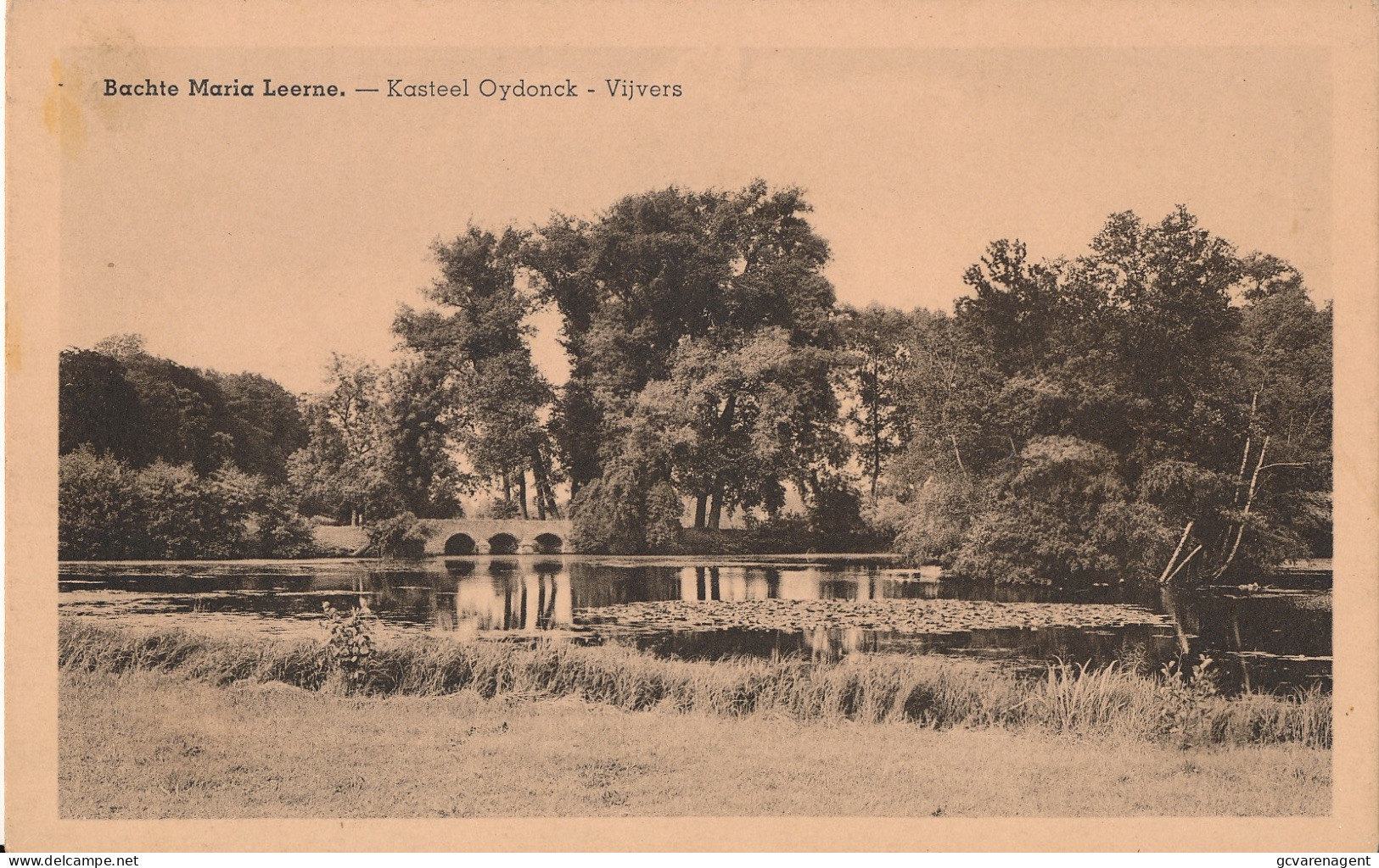 BACHTE MARIA LEERNE   KASTEEL OYDONCK    VIJVERS               2 SCANS - Deinze