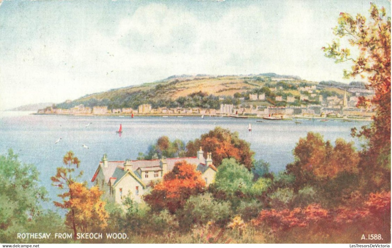 ROYAUME-UNI - Rothesay From Skeoch Wood - Vue Sur La Mer - Vue Au Loin De Plusieurs Maisons - Carte Postale Ancienne - Bute