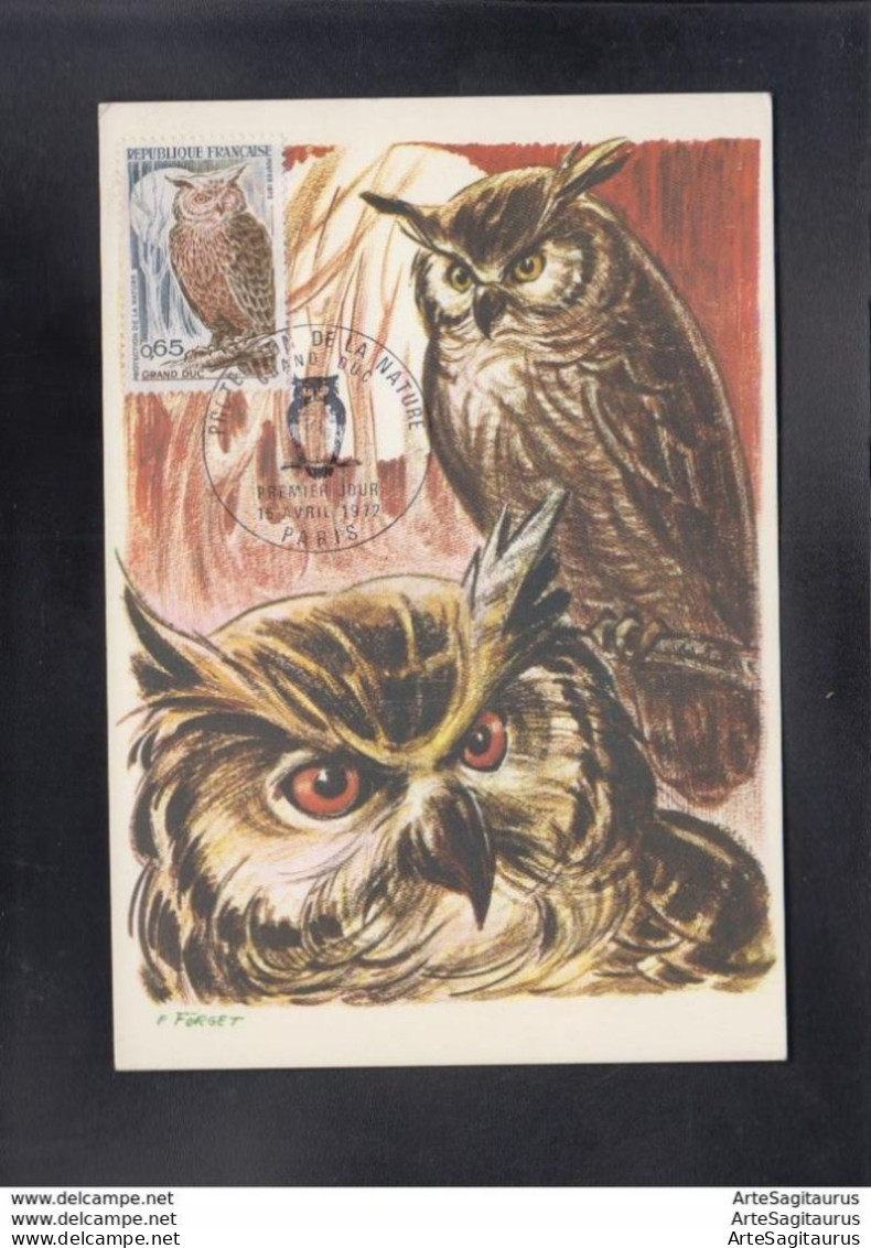 FRANCE, CARTE MAXIMUM - BIRDS-Bubo Bubo # - Eulenvögel