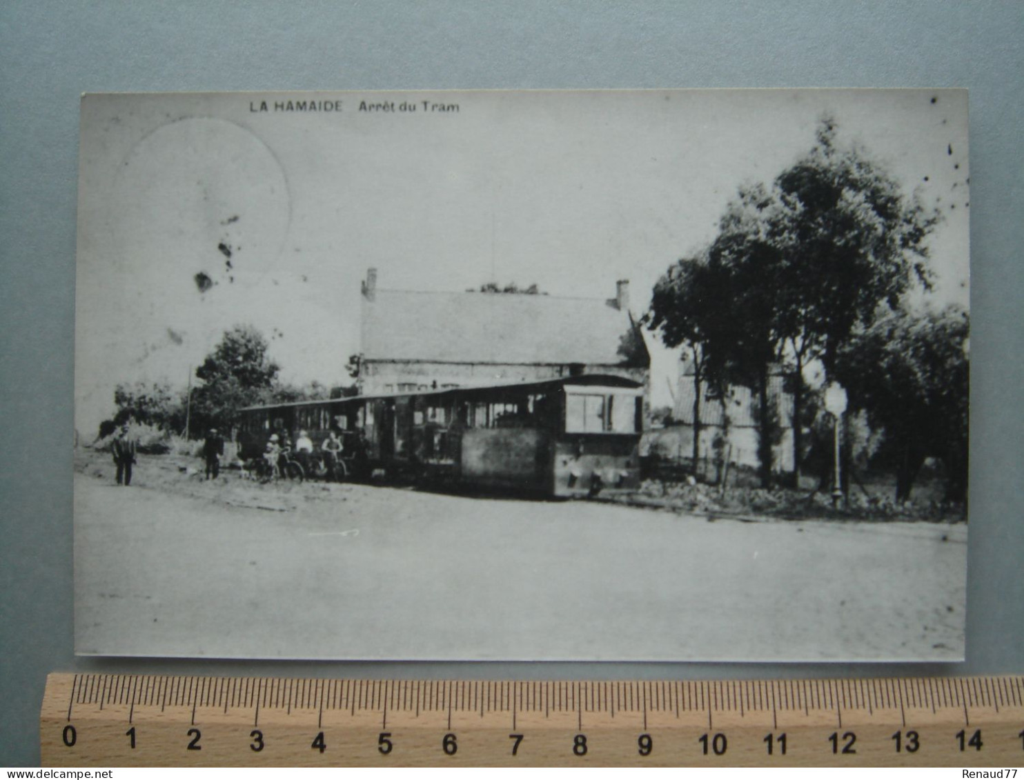 Carte Photo - LA HAMAIDE - Arrêt Du Tram - Tram - Tramway - Ellezelles