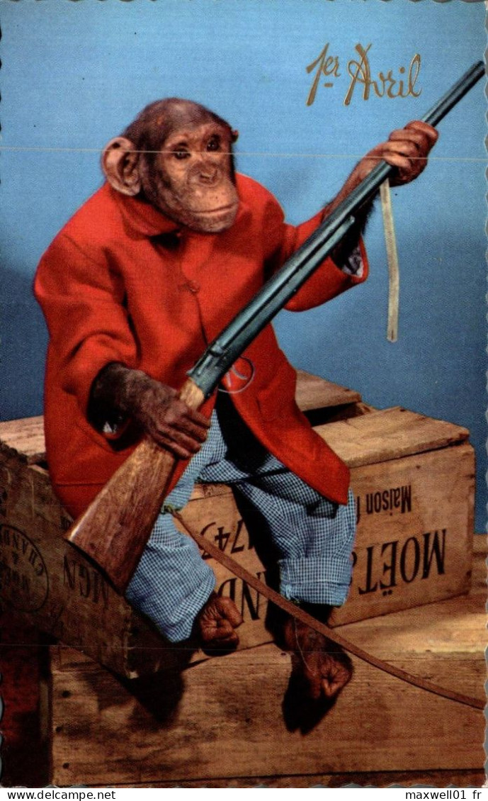 O1 - Carte Postale Fantaisie - Singe Habillé Armé - 1er Avril - Animaux Habillés