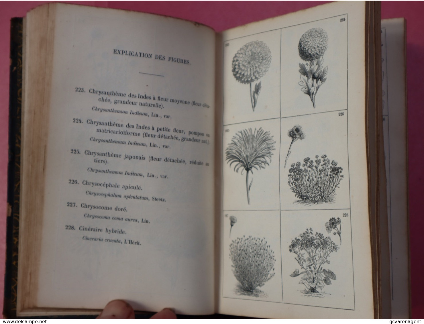 ATLAS DES FLEURS DE PLEINE TERRE , 1128 GRAVURES - PAR VILMORIN ANDDRIEUX +-1880 -  BON ETAT  18 X 12 X 3 CM VOIR IMAGES - Jardinage