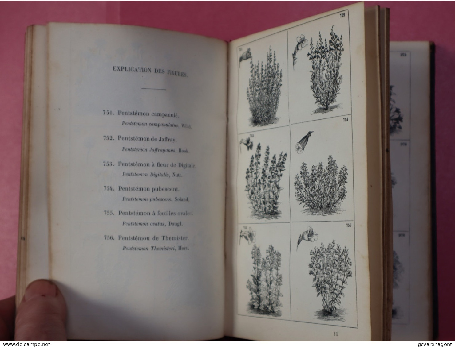 ATLAS DES FLEURS DE PLEINE TERRE , 1128 GRAVURES - PAR VILMORIN ANDDRIEUX +-1880 -  BON ETAT  18 X 12 X 3 CM VOIR IMAGES