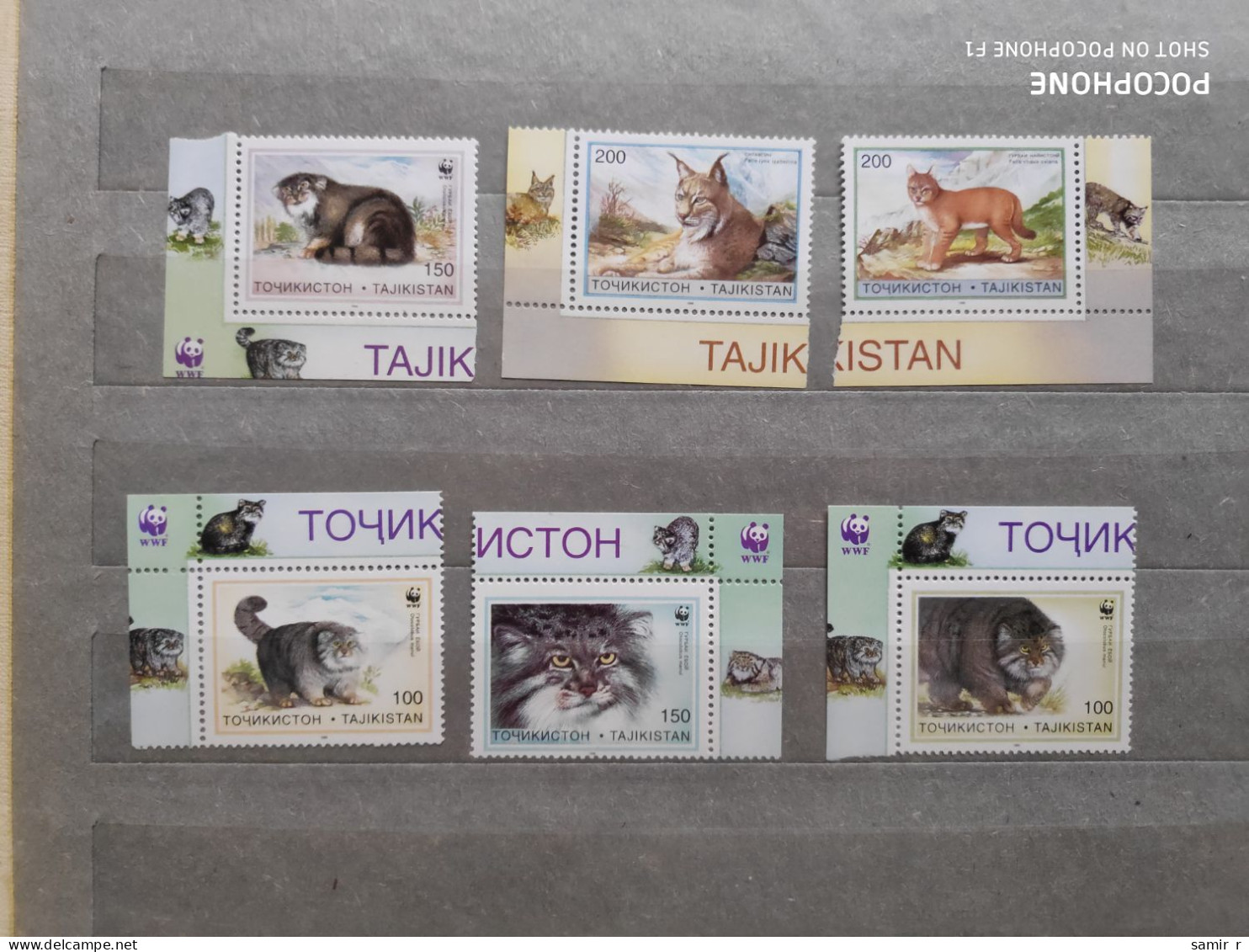 1996	Tajikistan	Cats (F83) - Tayikistán