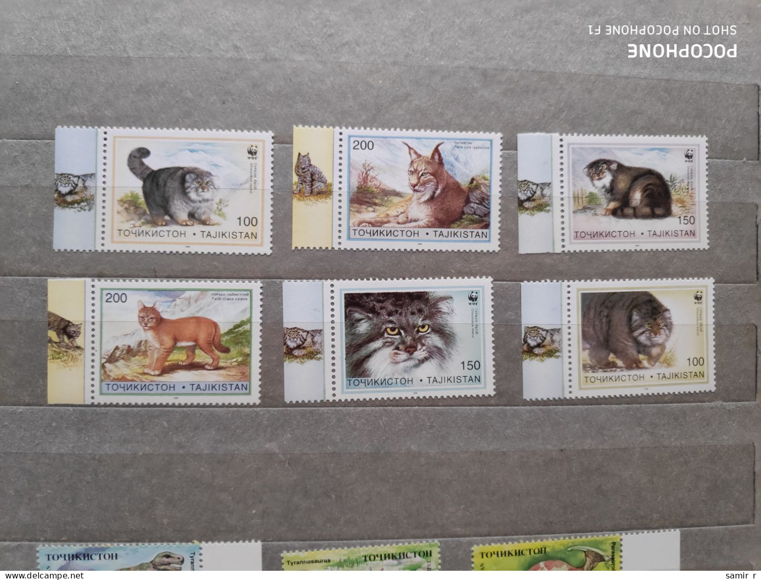 1996	Tajikistan	Cats (F83) - Tadjikistan