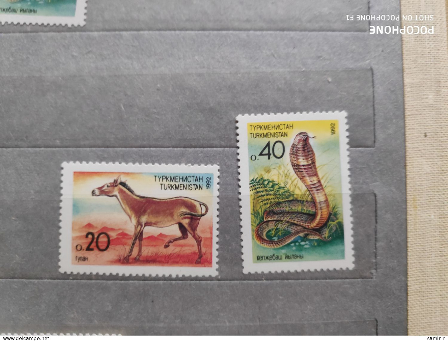 1992	Turkmenistan	Animals (F83) - Turkmenistan