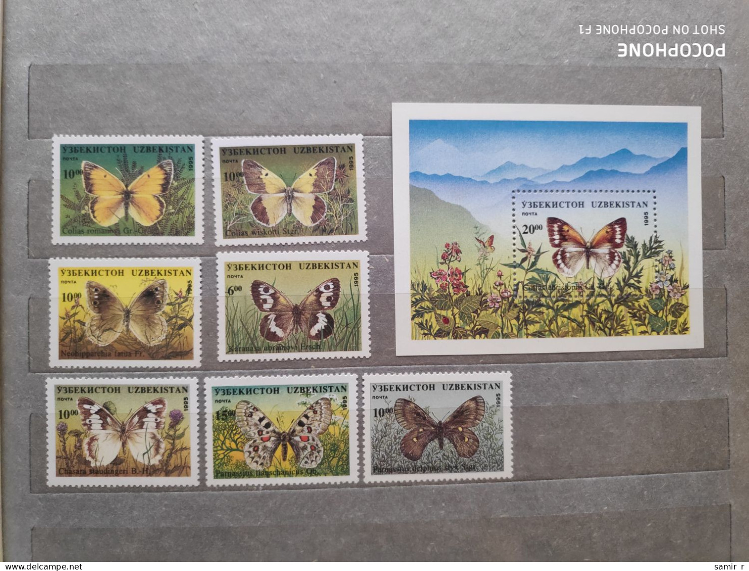 1995	Uzbekistan	Butterflies (F83) - Ouzbékistan