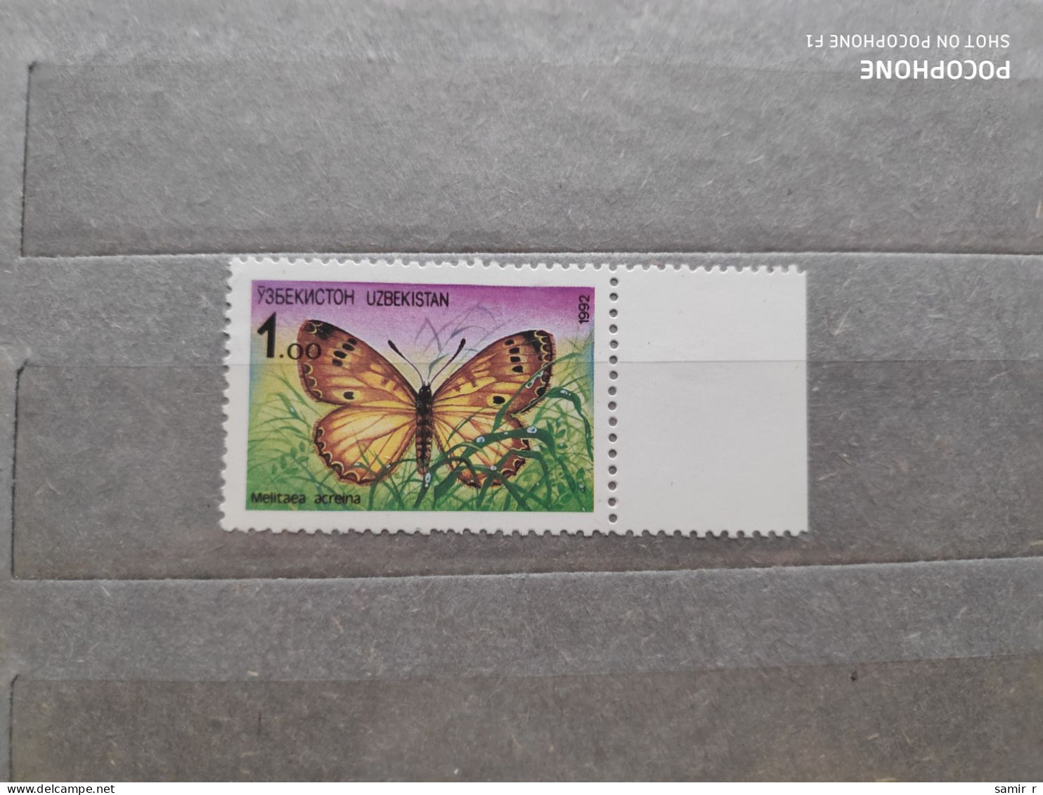 1992	Uzbekistan	Butterflies (F83) - Uzbekistán