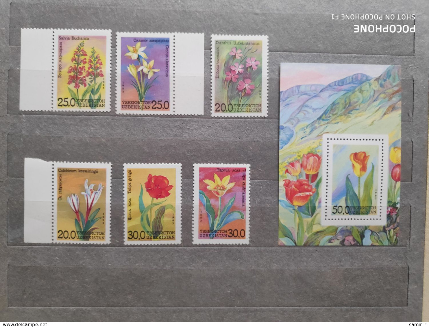 1993	Uzbekistan	Flowers (F83) - Uzbekistán