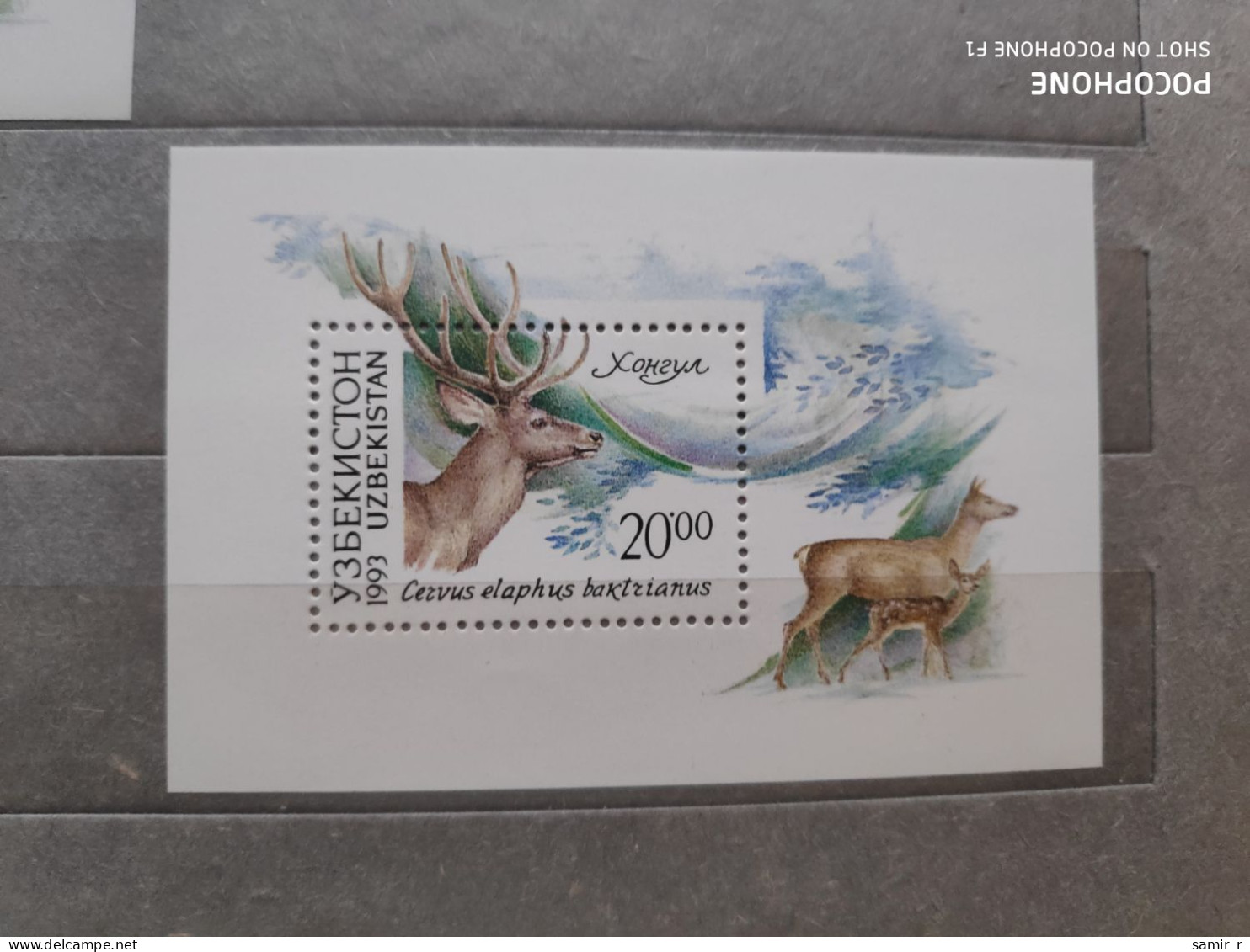 1993	Uzbekistan	Animals (F83) - Uzbekistán