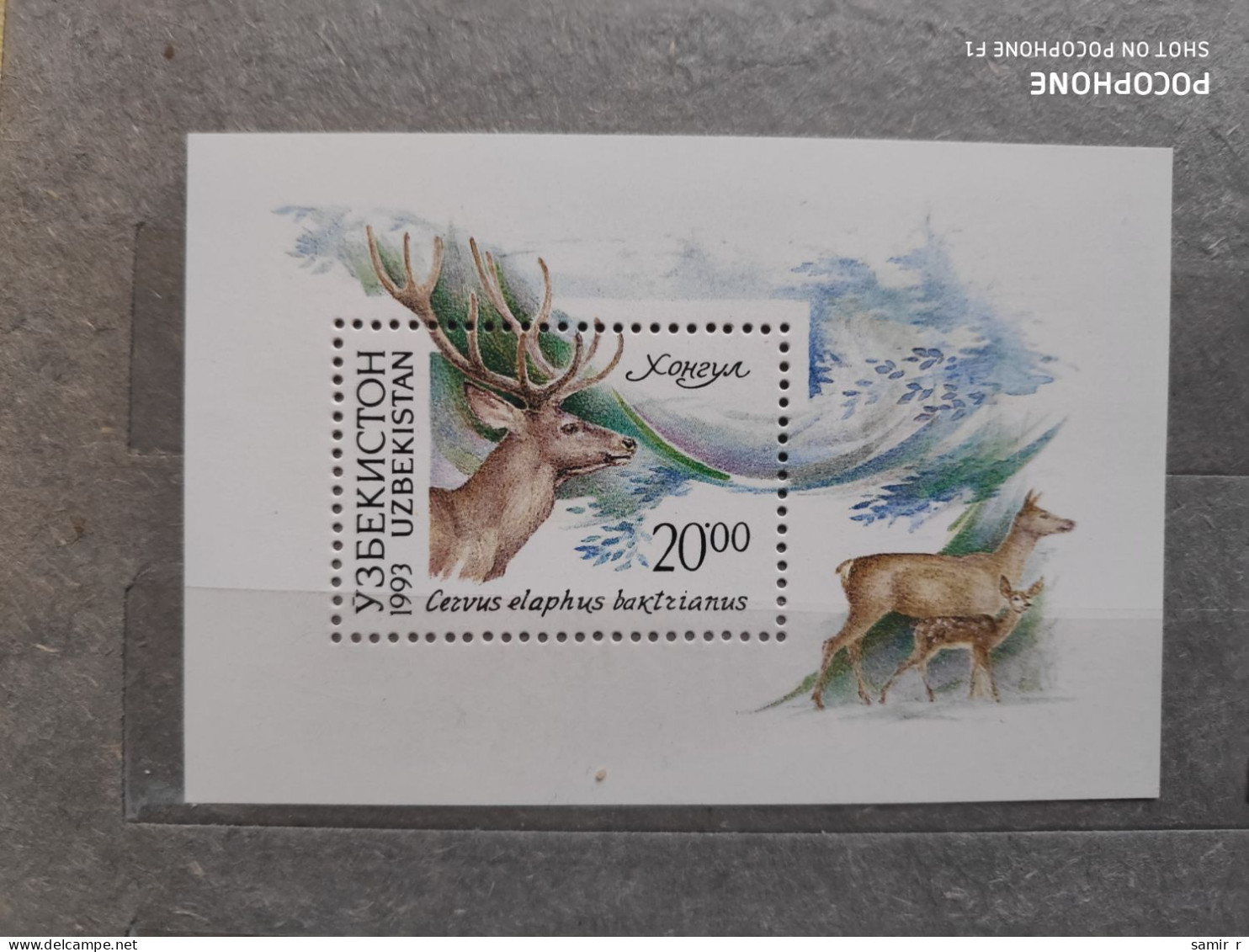 1993	Uzbekistan	Animals (F83) - Ouzbékistan