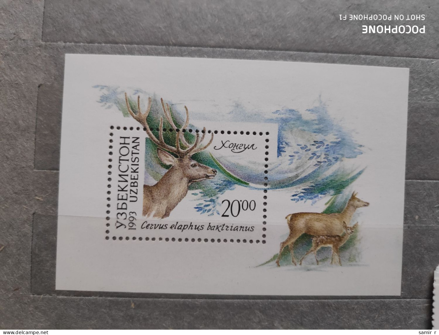 1993	Uzbekistan	Animals (F83) - Ouzbékistan