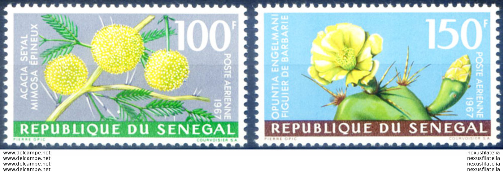 Flora. Fiori 1967. - Senegal (1960-...)