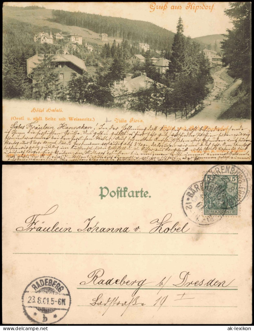 Ansichtskarte Kipsdorf-Altenberg (Erzgebirge) Hotel Halali, Villa Flora 1901 - Kipsdorf