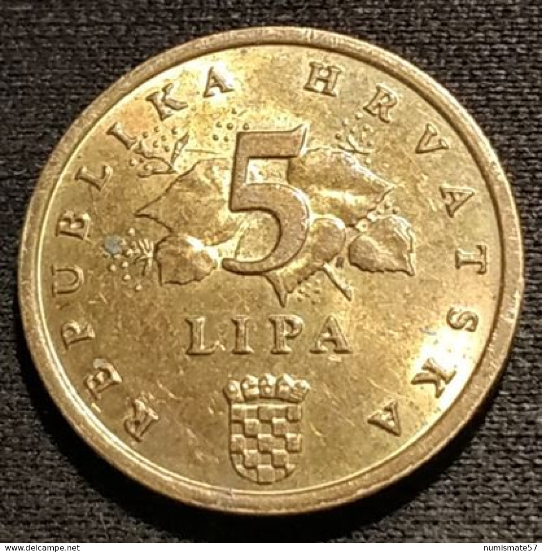 CROATIE - CROATIA - 5 LIPA 1993 ( Hrast Luznjak ) - KM 5 - Kroatien