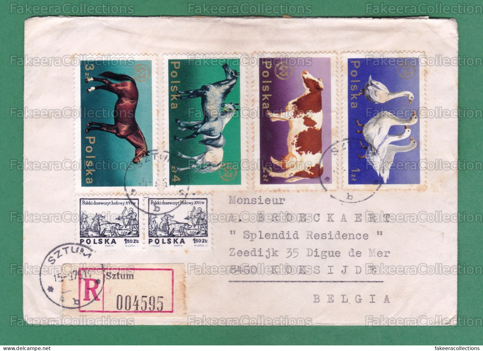 POLAND 1975 - Registered Letter Sent To BELGIUM With HORSES, COW, GEESE Stamps - Horse - As Scan - Horses
