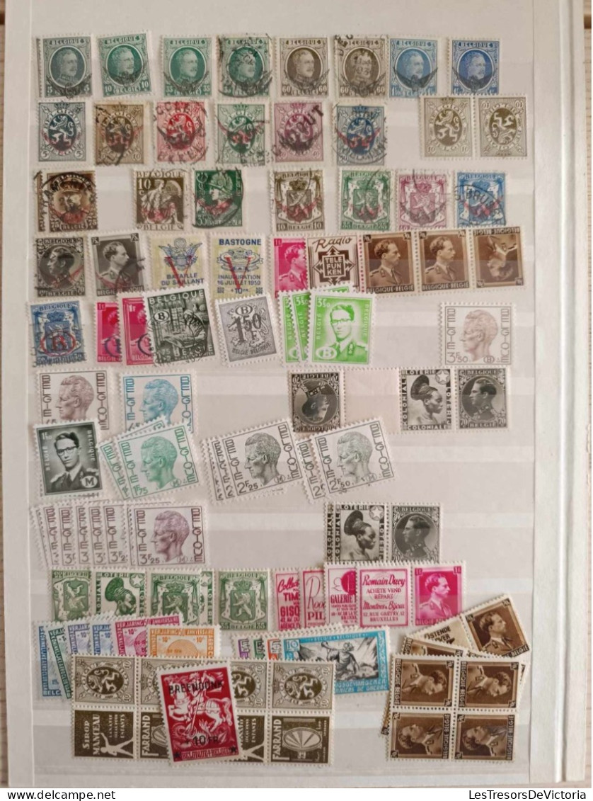 Belgique - Timbres Colis Postaux - Taxe - Chemin De Fer - Lot De Timbres Neufs Et Oblitérés - Postzegels