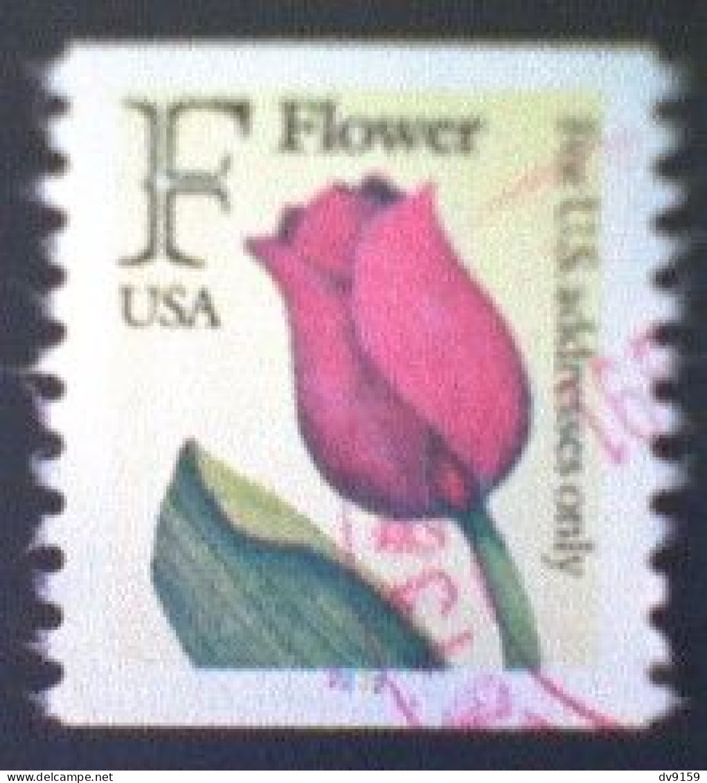 United States, Scott #2518, Used(o) Coil-color Code Stamp, 1991, Rate Change "F" Tulip , (29¢) - Used Stamps