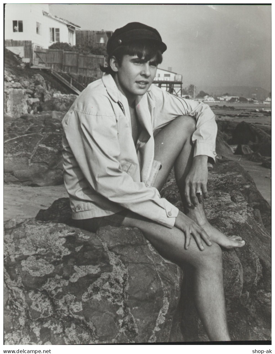 C5955/ Davy Jones Monkees  Original Pressefoto Foto 23 X 19 Cm 1966 - Sonstige & Ohne Zuordnung