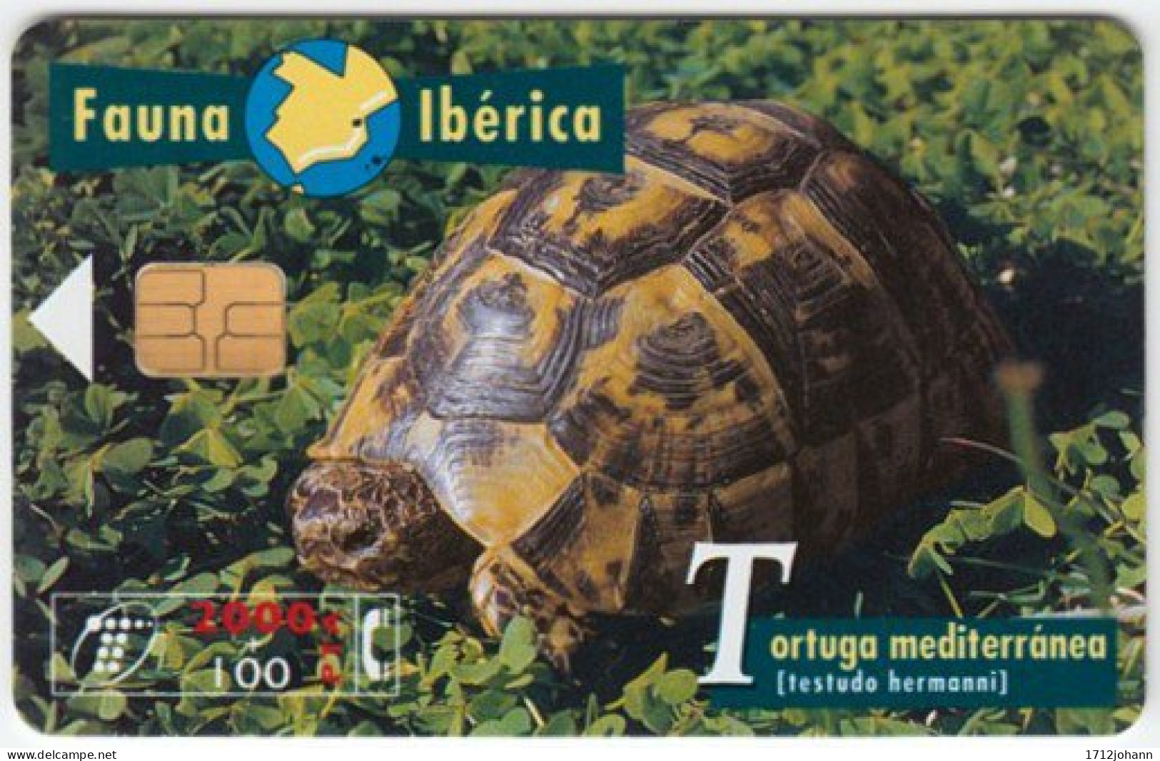 SPAIN A-513 Chip CabiTel - Animal, Turtle - Used - Basic Issues