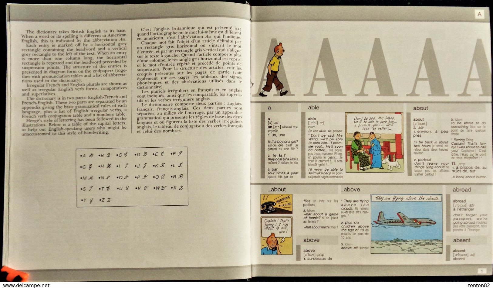 HARRAP'S - TINTIN Au Pays Des MOTS - Dictionnaire Illustré Anglais / Français - Français / Anglais - ( 1989 ) . - Tintin