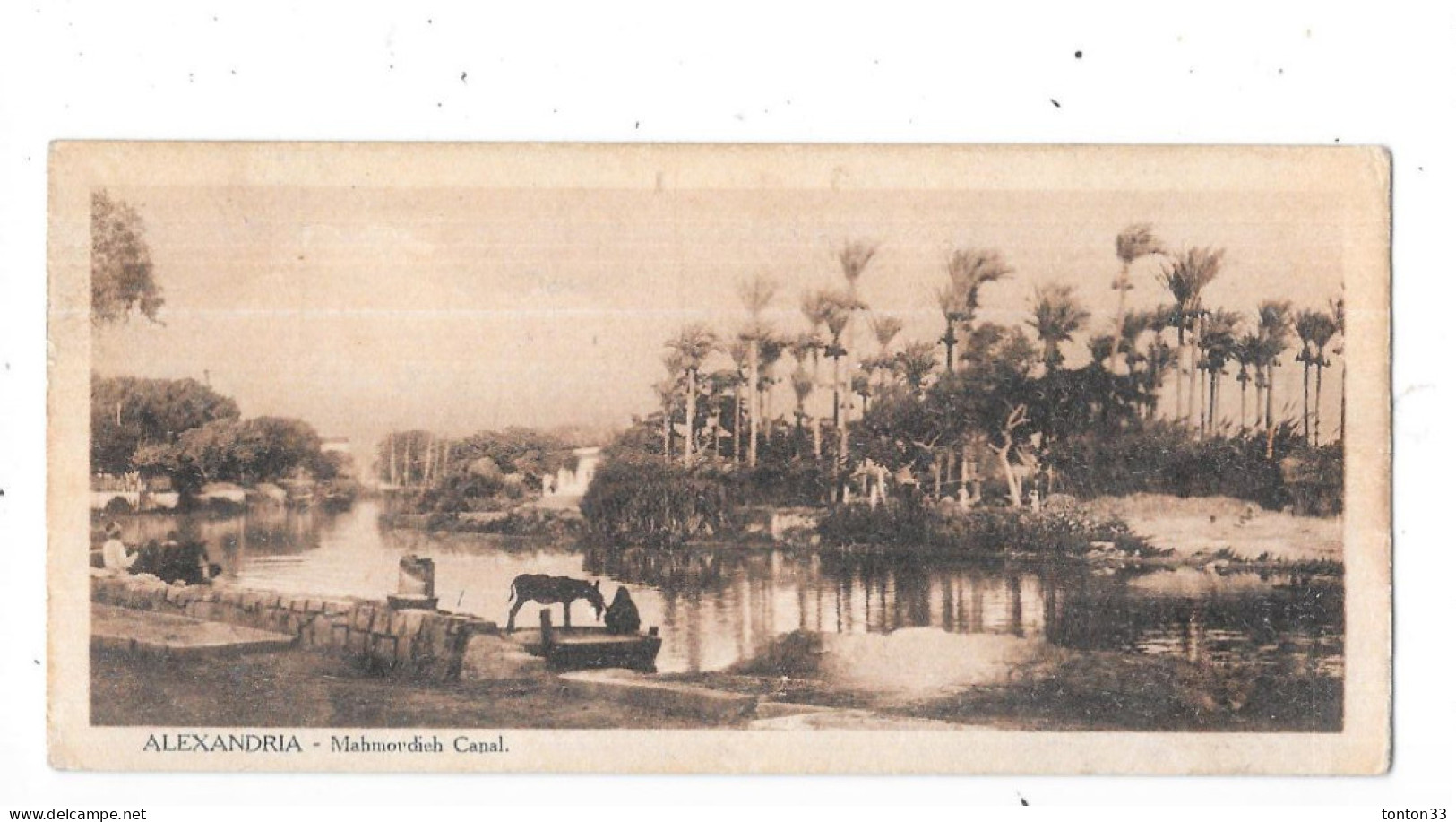 ALEXANDRIA - EGYPTE -  Mahmoudieh Canal - Carte 14 Cm X 6.5 Cm   - TOUL 4 - - Alexandria