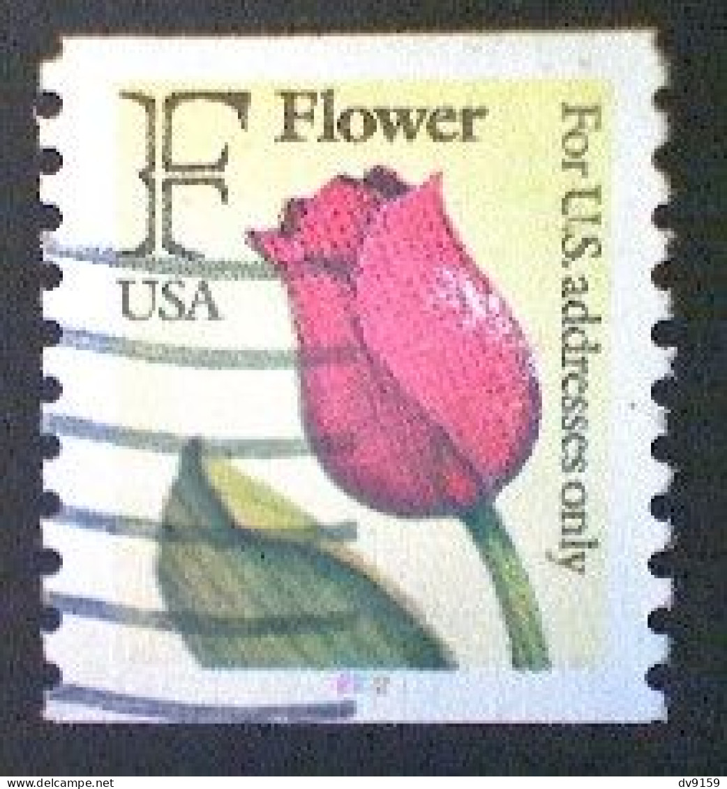 United States, Scott #2518, Used(o) Coil-color Code Stamp, 1991, Rate Change "F" Tulip , (29¢) - Usados