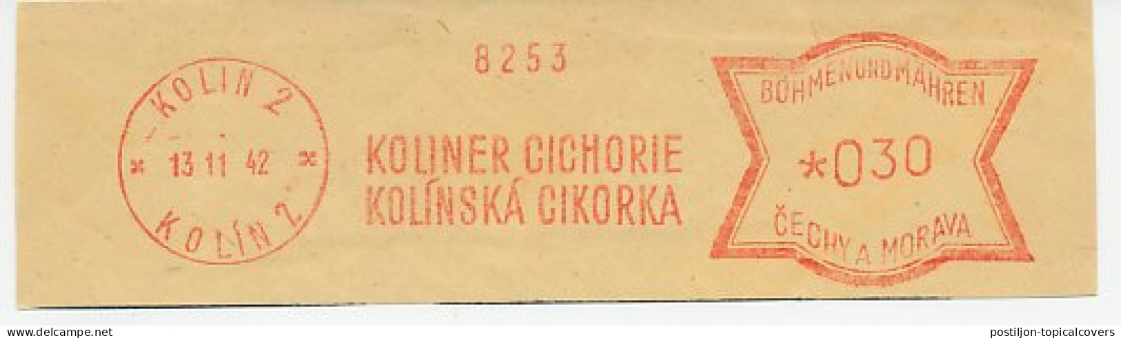Meter Cut Bohemia And Moravia 1942 Chicory - Vegetazione