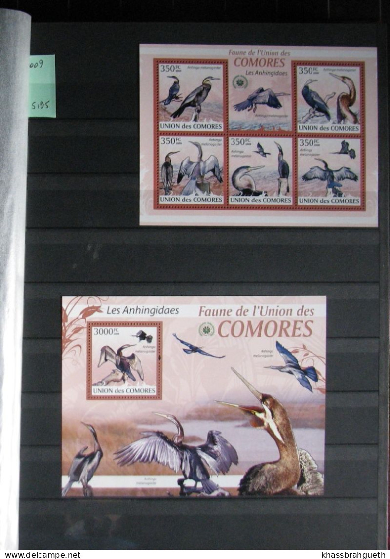 COMORES + DJIBOUTI - OISEAUX / BIRDS - 69V + 72 BLOCS **MNH