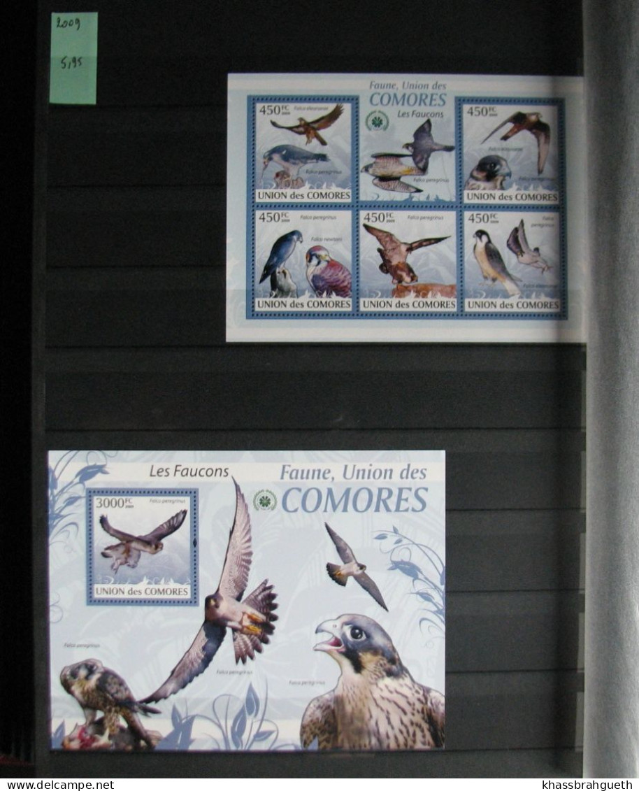 COMORES + DJIBOUTI - OISEAUX / BIRDS - 69V + 72 BLOCS **MNH