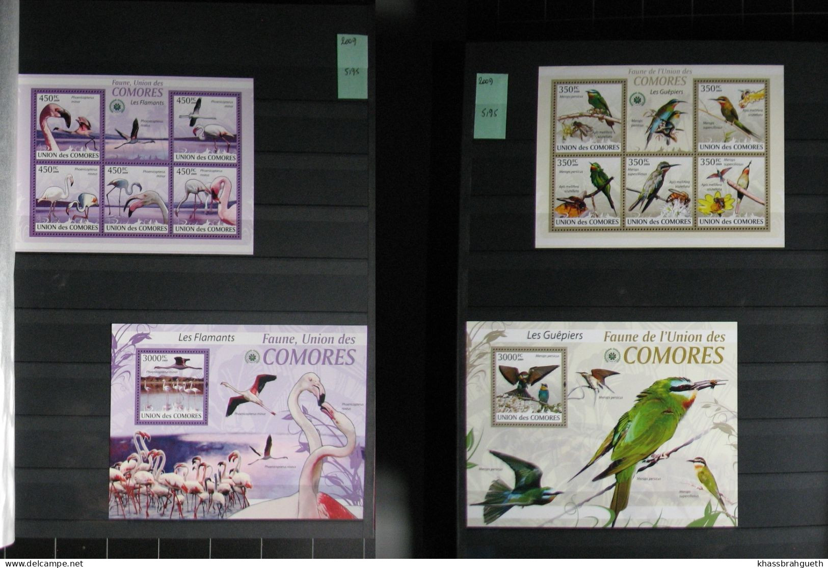 COMORES + DJIBOUTI - OISEAUX / BIRDS - 69V + 72 BLOCS **MNH