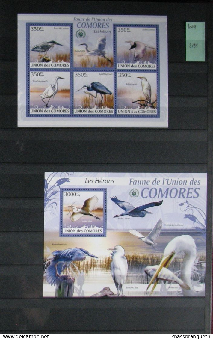 COMORES + DJIBOUTI - OISEAUX / BIRDS - 69V + 72 BLOCS **MNH